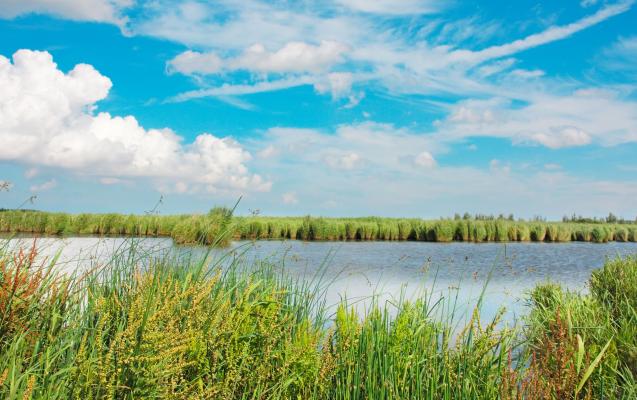 Nationaal Park Lauwersmeer