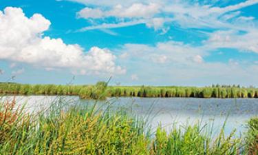 Nationalpark Lauwersmeer